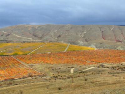 Прикрепленное изображение: DSCF6045.jpg